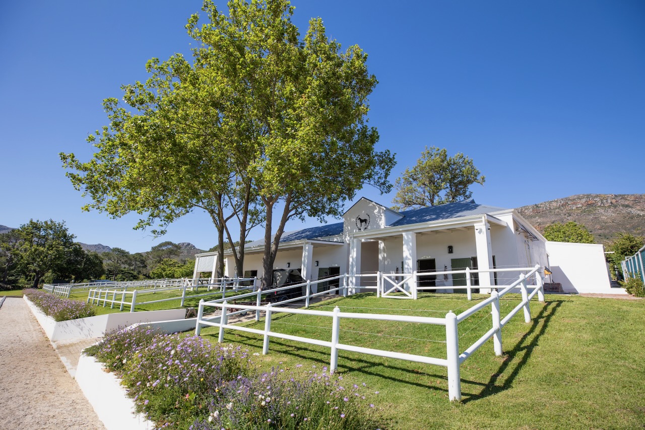Wide exterior view of stable complex with white fencing and mountain backdrop