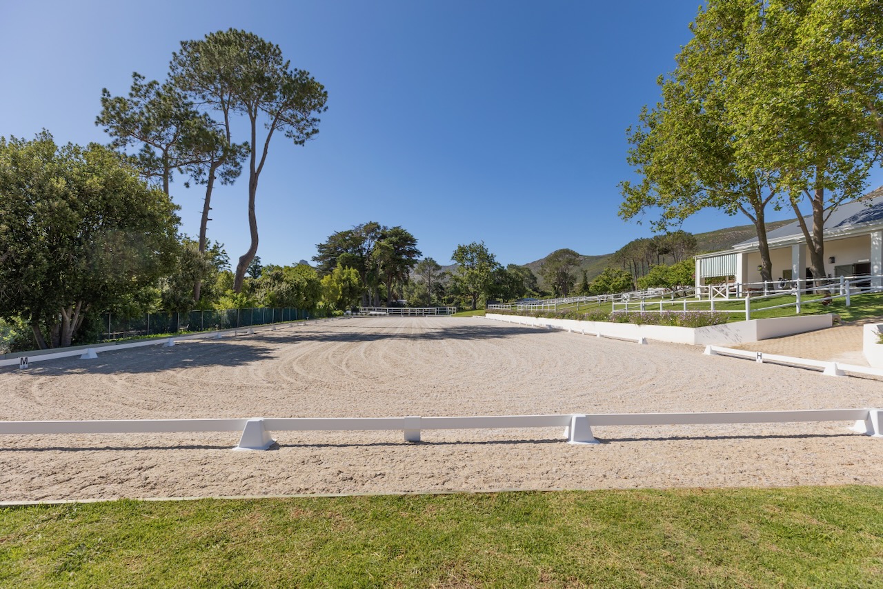 Wide view of empty dressage arena with white markers and mountain backdrop