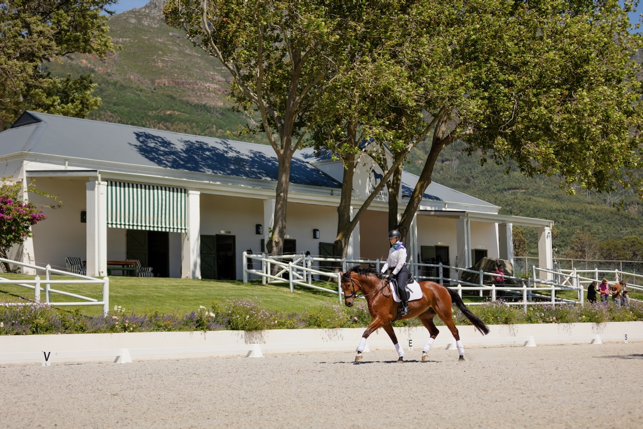 Side view of rider on bay horse in dressage arena with mountains in background