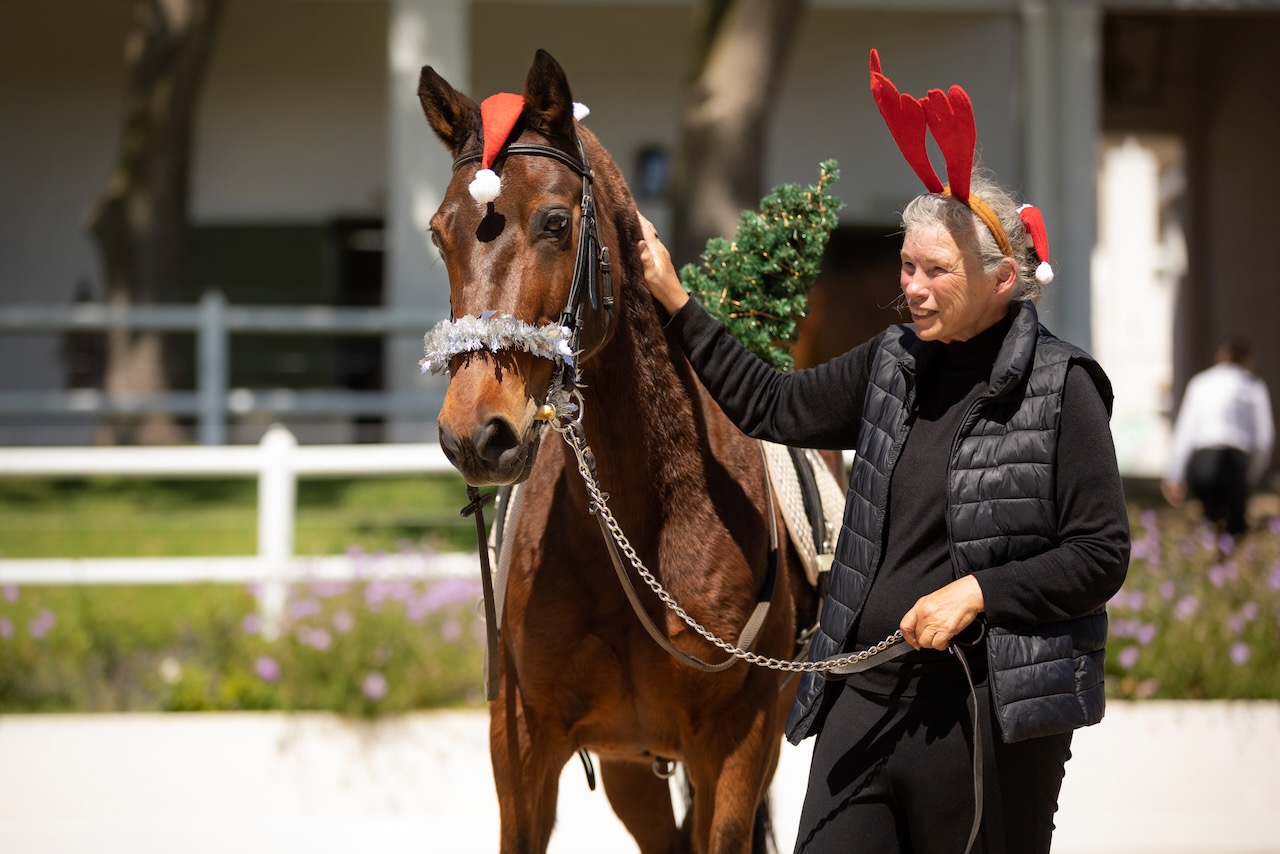 Holiday-themed image with horse wearing Santa hat and handler with reindeer antlers