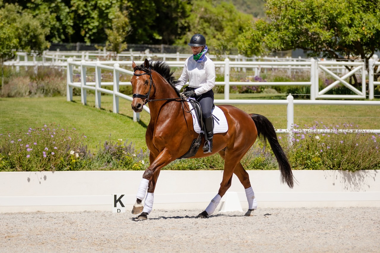Another angle of rider on bay horse at marker K in dressage arena