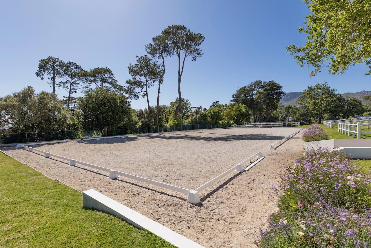 Dressage arena with purple flowers and pine trees in background